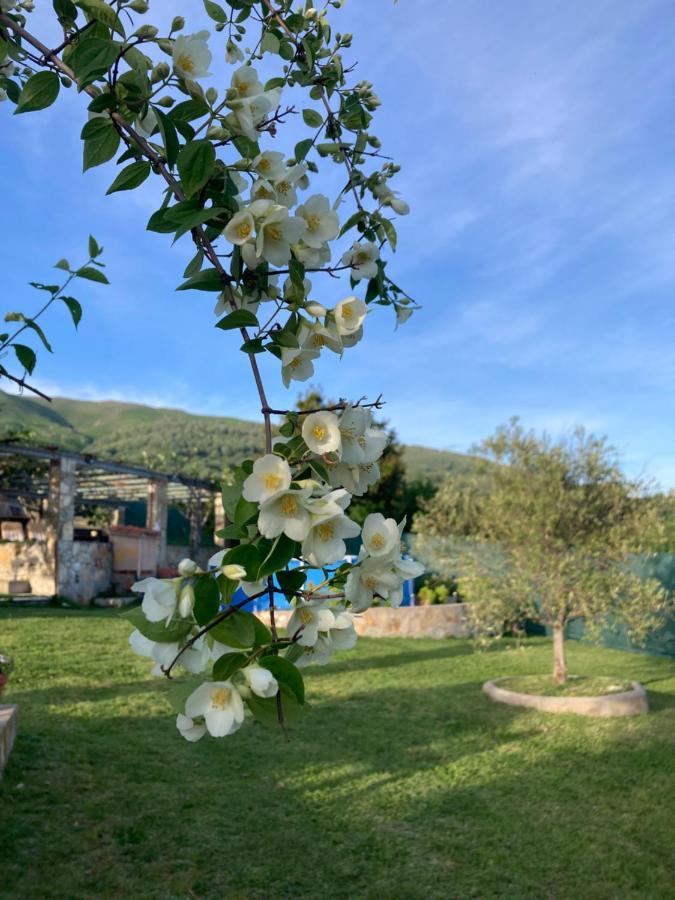 Mirada A Gredos Holiday home *